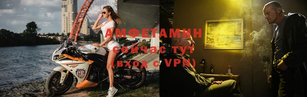 apvp Белокуриха