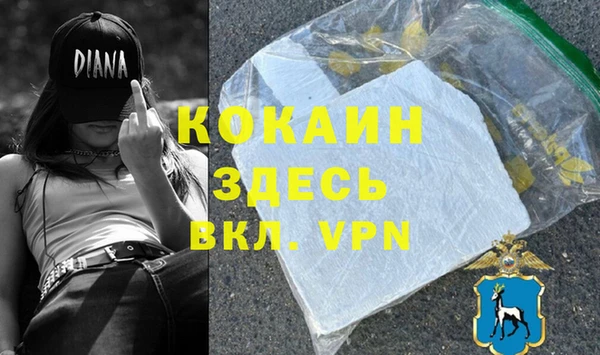 apvp Белокуриха