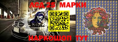 шишки Балахна