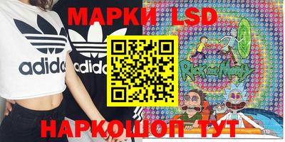 шишки Балахна