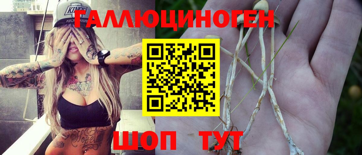 Галлюциногенные грибы GOLDEN TEACHER Верхняя Пышма