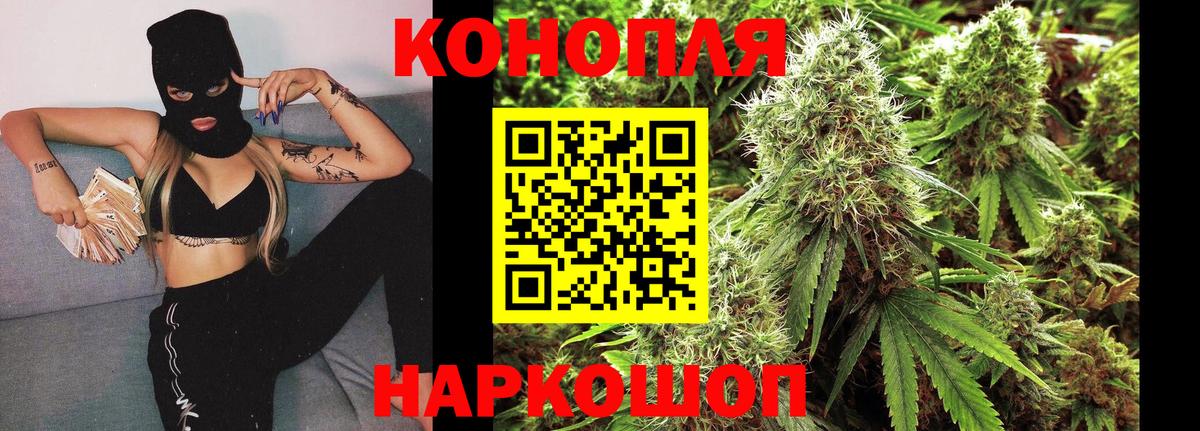 Бошки Шишки планчик Верхняя Пышма